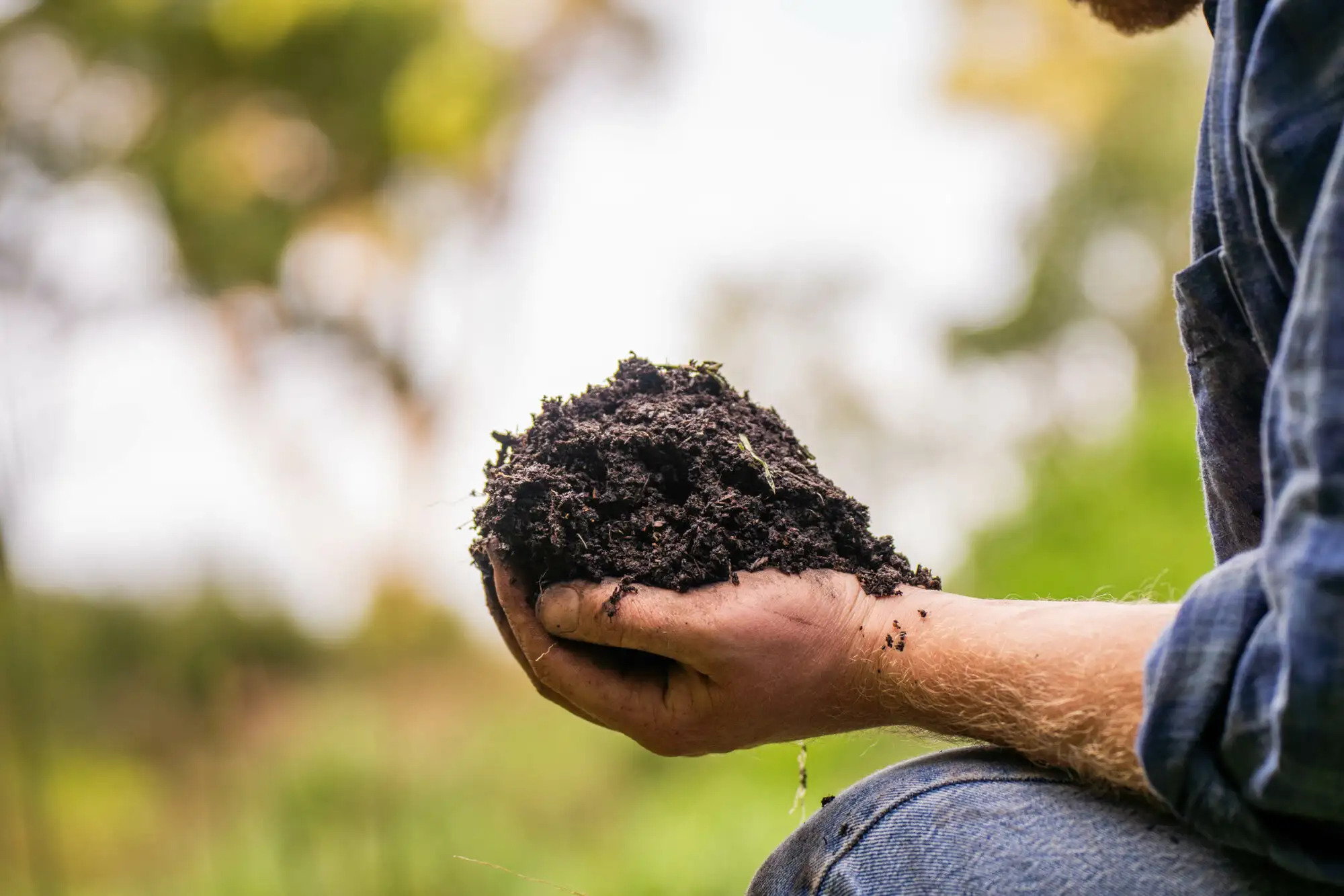 Erde regenerieren leicht gemacht: Mit Living Soil langfristig produktive Böden schaffen