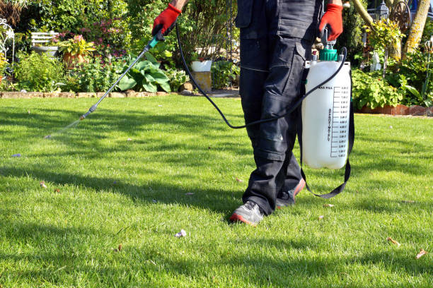 Désherbant Radikal : Guide Complet Pour Une Utilisation Optimale au Jardin