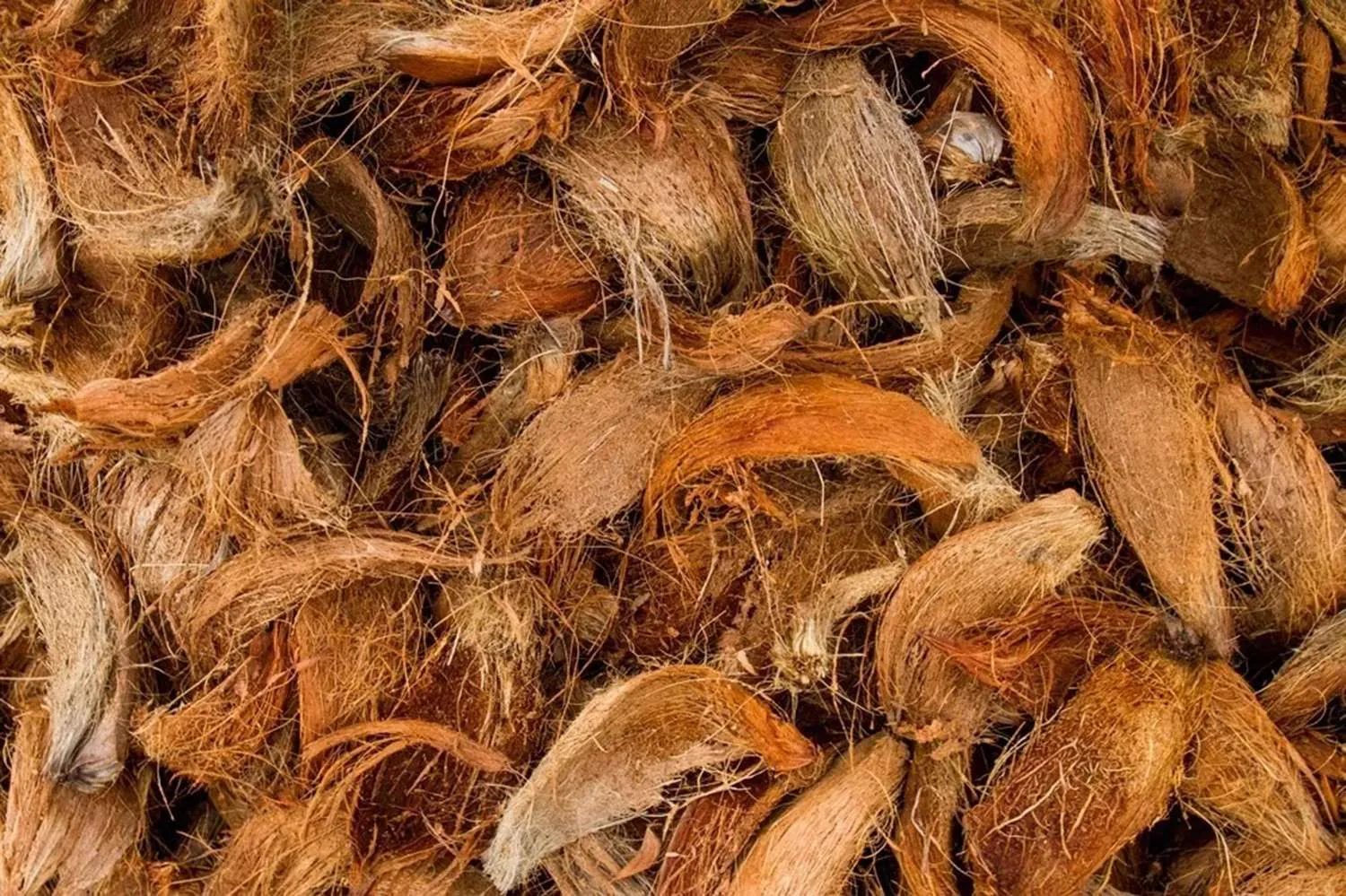 Kokoserde kaufen: Worauf Sie bei Qualität und Einsatz achten sollten